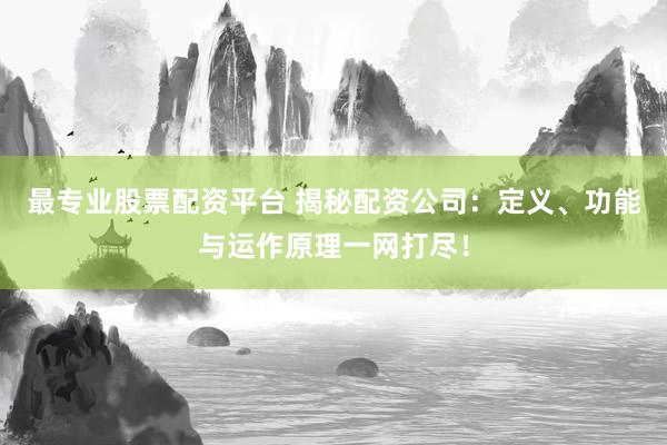 最专业股票配资平台 揭秘配资公司：定义、功能与运作原理一网打尽！