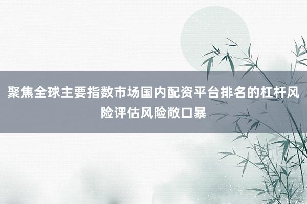 聚焦全球主要指数市场国内配资平台排名的杠杆风险评估风险敞口暴
