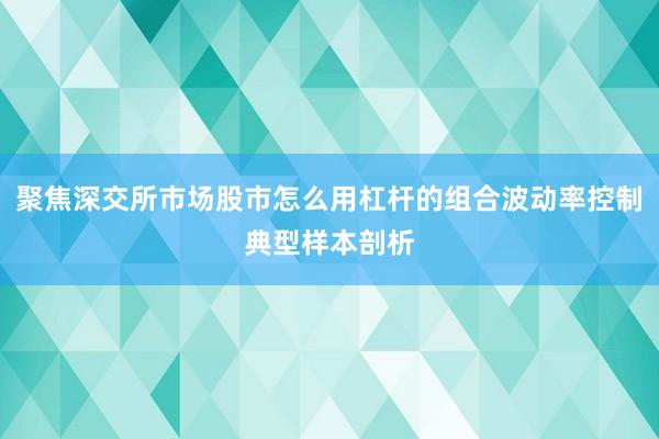 聚焦深交所市场股市怎么用杠杆的组合波动率控制典型样本剖析