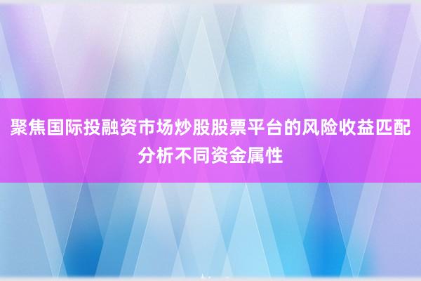 聚焦国际投融资市场炒股股票平台的风险收益匹配分析不同资金属性