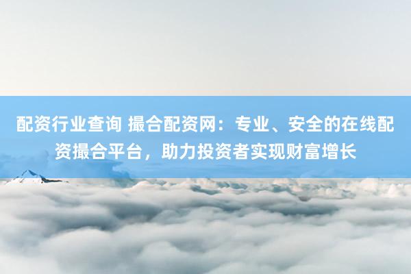 配资行业查询 撮合配资网：专业、安全的在线配资撮合平台，助力投资者实现财富增长